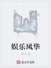 娱乐风华无删减txt