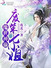 绝世神偷废柴七小姐介绍
