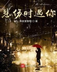 悲伤时遇你TXT