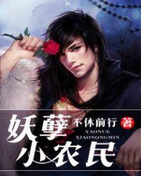 妖孽小农民龙飞