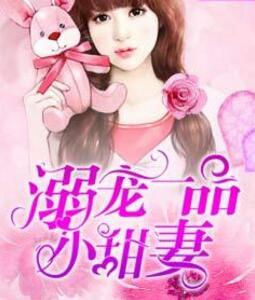 溺宠一品小狂妻txt完整