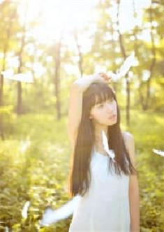 车先生英语怎么说