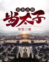 回到贞观当太子免费版