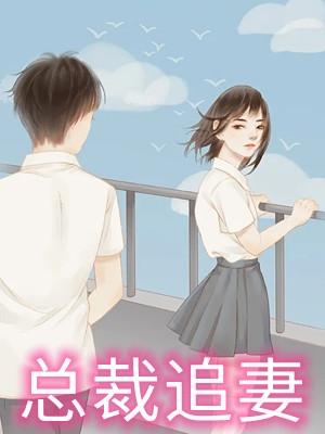 偏执总裁追妻