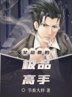 叶枫柳清允免费阅读女总裁的极品高手