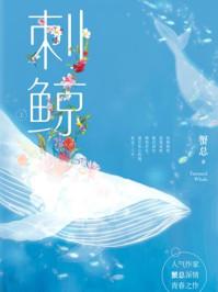 刺鲸 百度