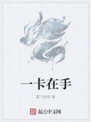 一卡在手宣传文案