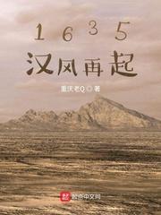 汉贼风再起时