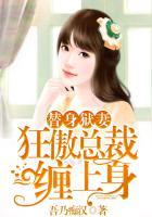 狂傲总裁缠上身全文阅读