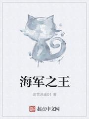 海军之王小鱼儿
