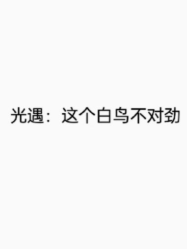 光遇里的白鸟