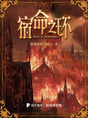 宿命之环讲了什么