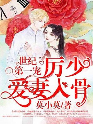 世纪第一宠厉少爱妻入骨厉璟霆叶翩然