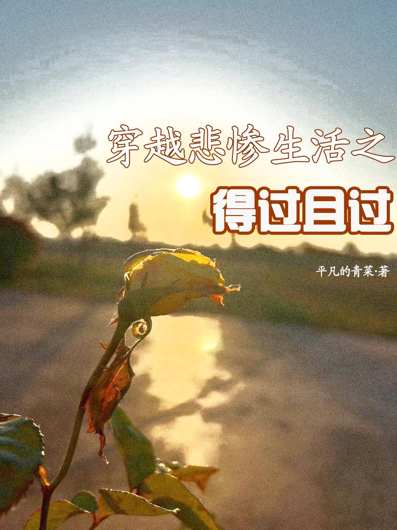 穿越的悲惨生活