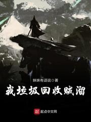 我回收垃圾贼溜txt