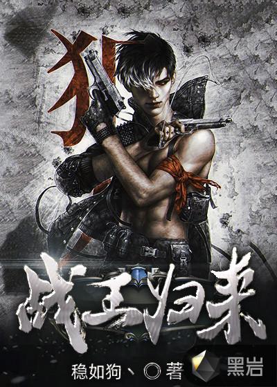 武战道之机战王归来