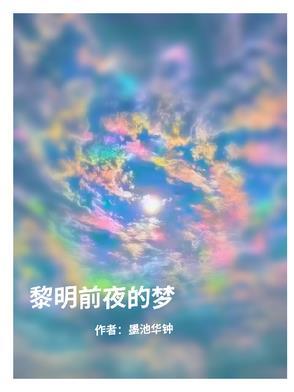 黎明前的黑夜梦颖