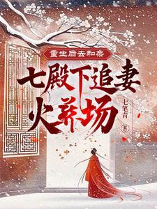 重生后再遇沈七爷