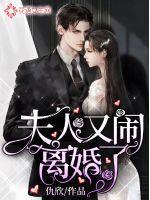 夫人又要离婚了全文免费阅读